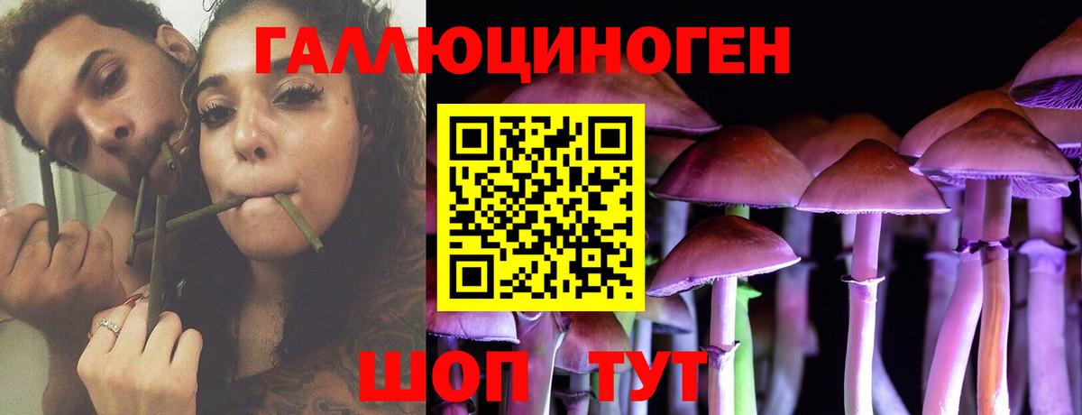 Галлюциногенные грибы Psilocybine cubensis Изобильный